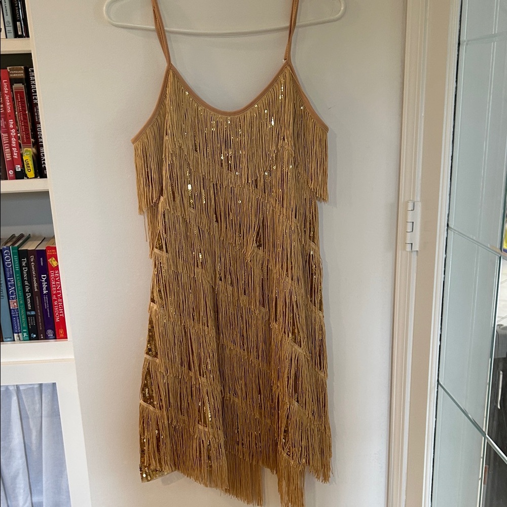 Gold Fringe Sequin Slip Flapper 1920s Dress